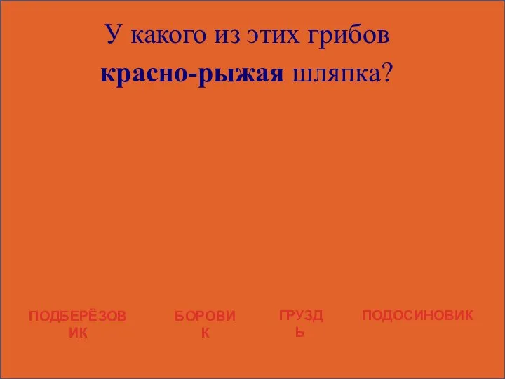 У какого из этих грибов красно-рыжая шляпка? ПОДБЕРЁЗОВИК БОРОВИК ГРУЗДЬ ПОДОСИНОВИК