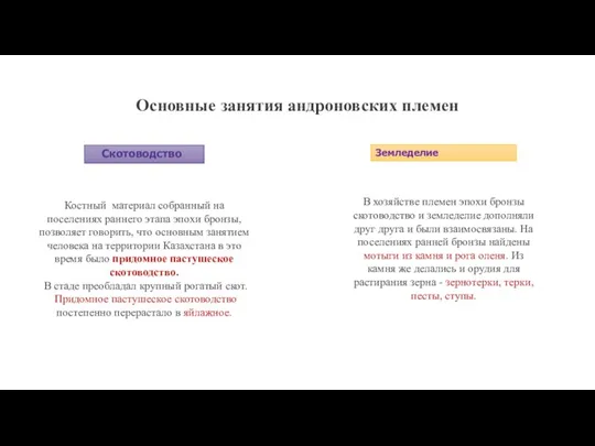 Основные занятия андроновских племен Скотоводство Костный материал собранный на поселениях раннего этапа