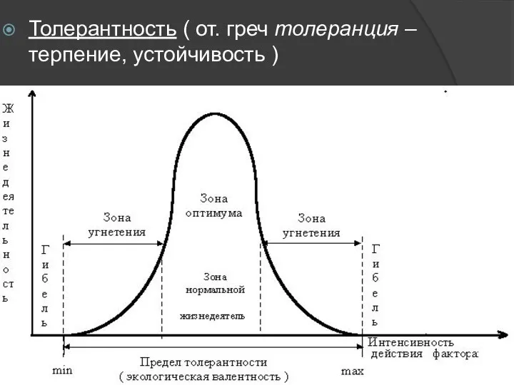 Толерантность ( от. греч толеранция – терпение, устойчивость )