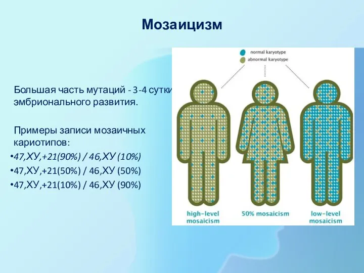 Мозаицизм Большая часть мутаций - 3-4 сутки эмбрионального развития. Примеры записи мозаичных