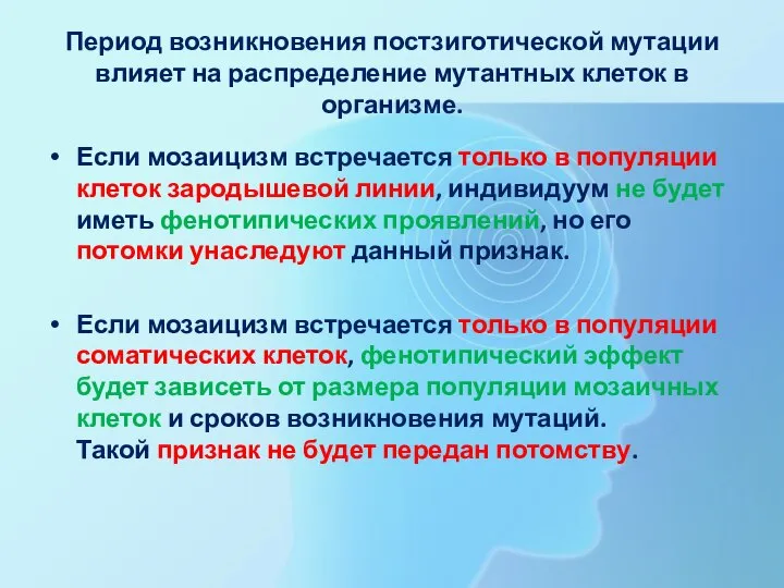 Период возникновения постзиготической мутации влияет на распределение мутантных клеток в организме. Если