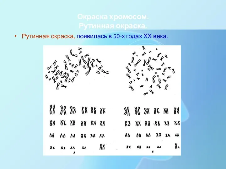 Окраска хромосом. Рутинная окраска. Рутинная окраска, появилась в 50-х годах ХХ века.