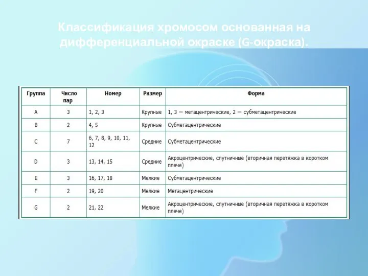 Классификация хромосом основанная на дифференциальной окраске (G-окраска).