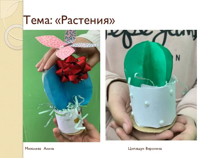 Тема: «Растения» Михалева Алина Ципящук Вероника