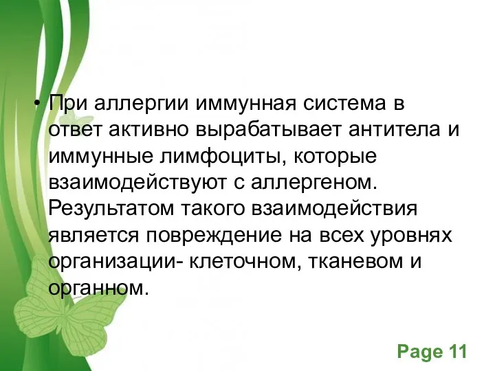 При аллергии иммунная система в ответ активно вырабатывает антитела и иммунные лимфоциты,