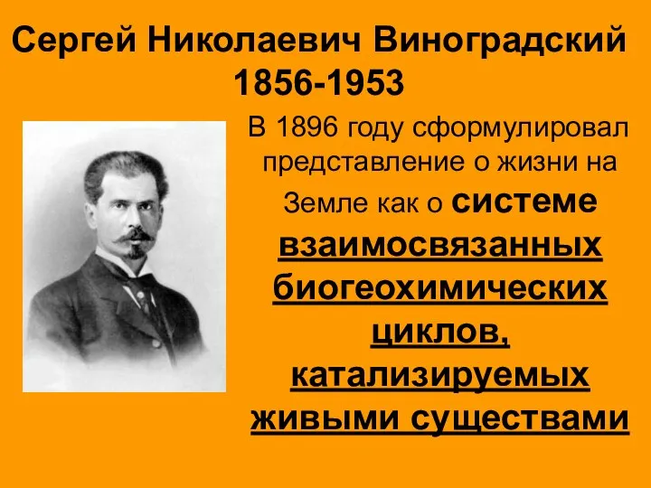 Сергей Николаевич Виноградский 1856-1953 В 1896 году сформулировал представление о жизни на