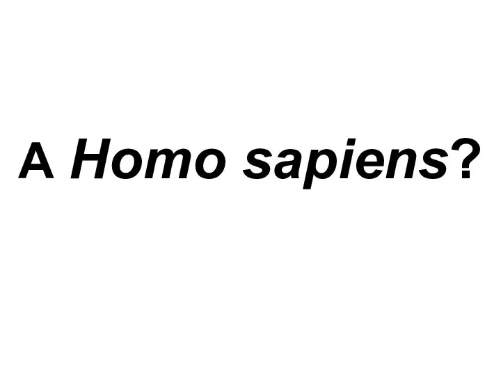 А Homo sapiens?