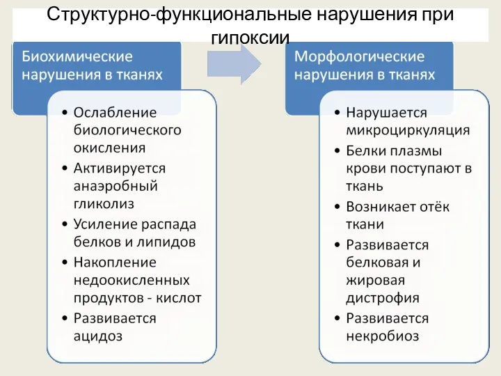 Структурно-функциональные нарушения при гипоксии