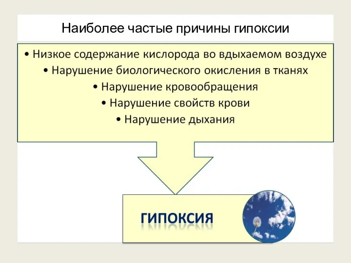 Наиболее частые причины гипоксии