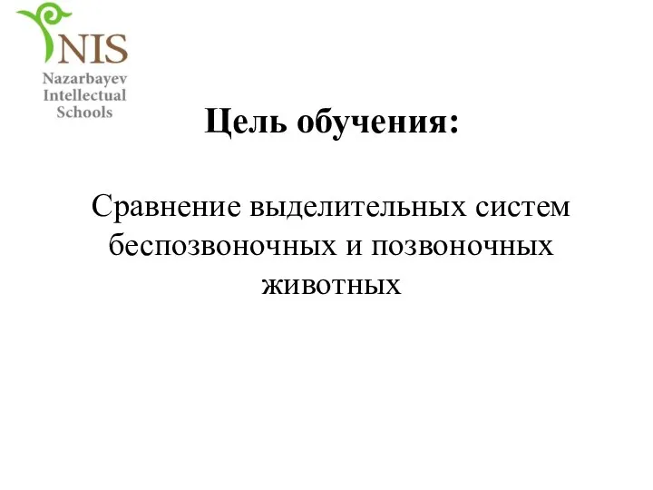 Сравнение выделительных систем беспозвоночных и позвоночных животных Цель обучения: