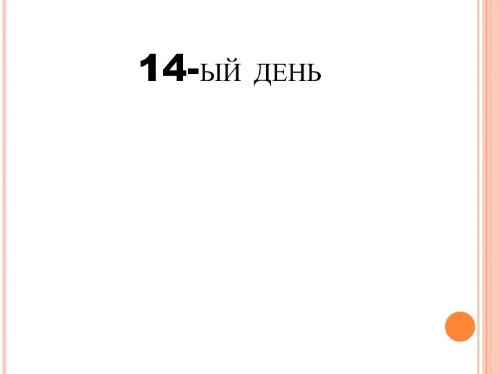 14-ый день