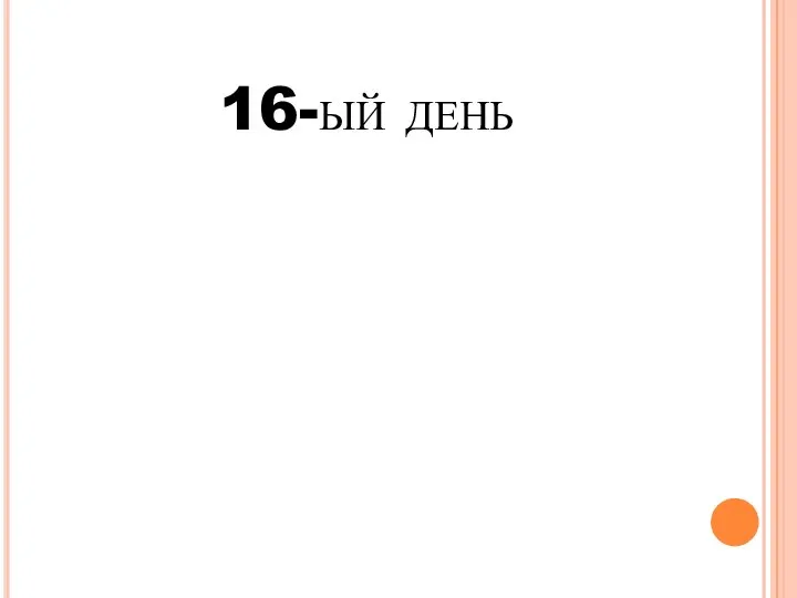 16-ый день