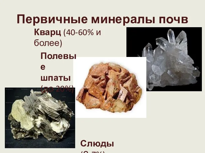Первичные минералы почв Кварц (40-60% и более) Полевые шпаты (до 20%) Слюды (З-7%)