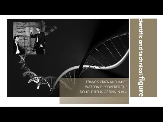 FRANCIS CRICK AND JAMES WATSON DISCOVERED THE DOUBLE HELIX OF DNA IN