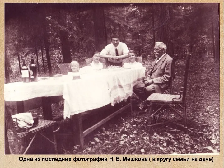 Одна из последних фотографий Н. В. Мешкова ( в кругу семьи на даче)