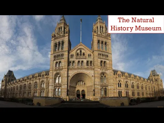 The Natural History Museum