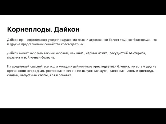 Корнеплоды. Дайкон Дайкон при неправильном уходе и нарушении правил агротехники болеет теми