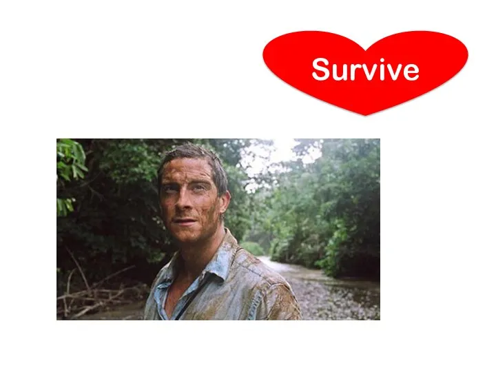 Survive