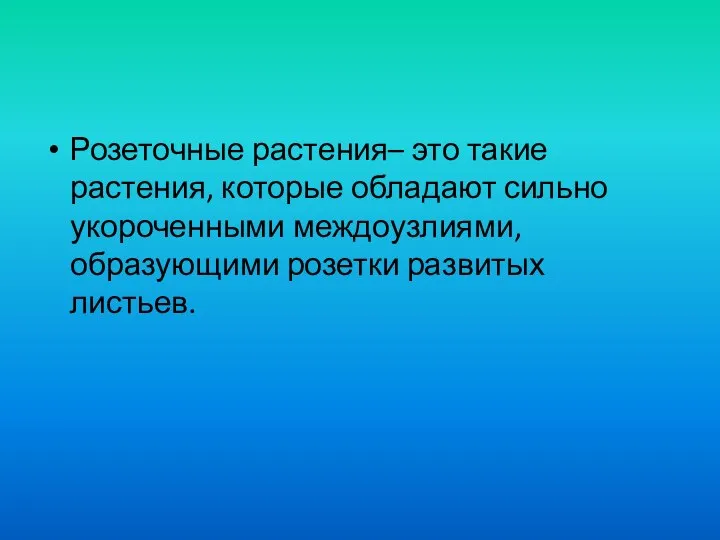 Розеточные растения– это такие растения, которые обладают сильно укороченными междоузлиями, образующими розетки развитых листьев.