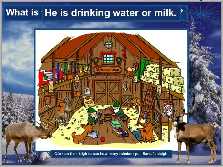 What is the youngest reindeer drinking? He is drinking water or milk.
