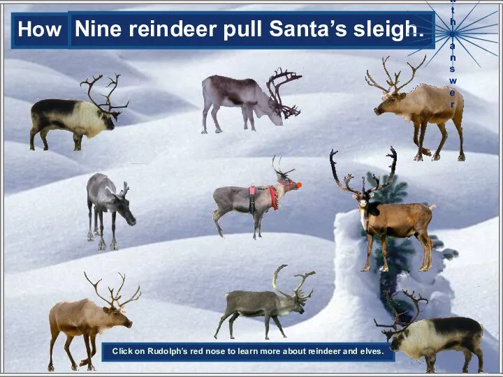 How many reindeer pull Santa’s sleigh? Nine reindeer pull Santa’s sleigh. Show