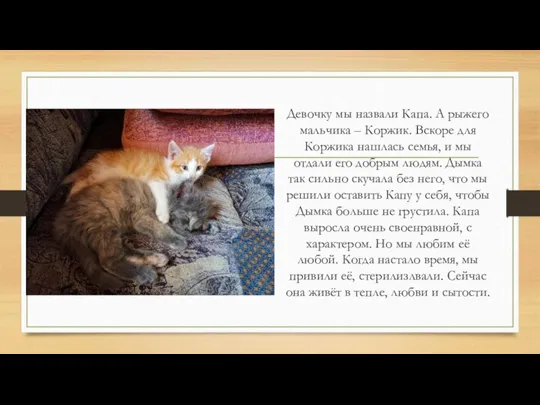 Девочку мы назвали Капа. А рыжего мальчика – Коржик. Вскоре для Коржика