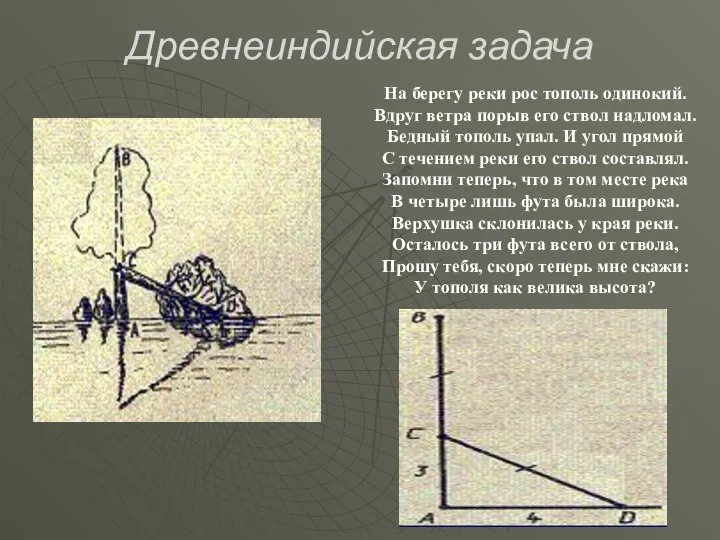 Древнеиндийская задача На берегу реки рос тополь одинокий. Вдруг ветра порыв его