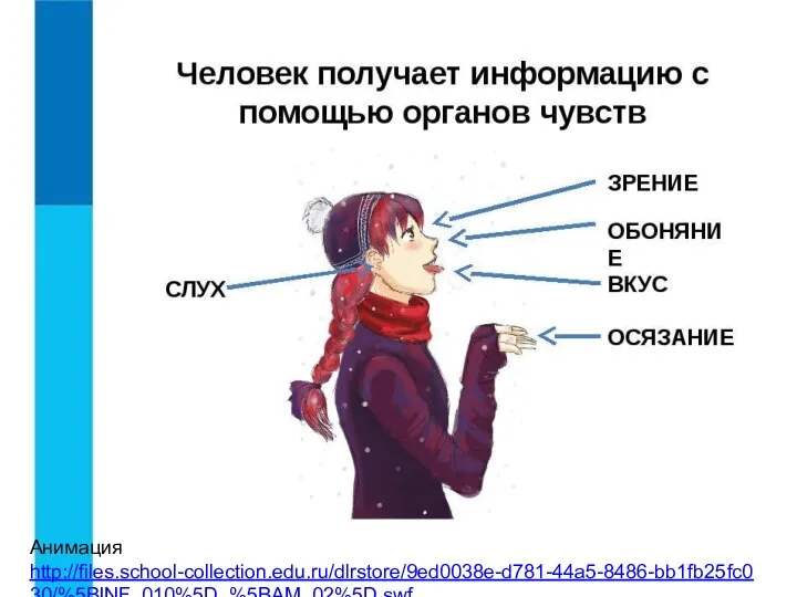 Анимация http://files.school-collection.edu.ru/dlrstore/9ed0038e-d781-44a5-8486-bb1fb25fc030/%5BINF_010%5D_%5BAM_02%5D.swf