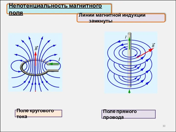 Непотенциальность магнитного поля Линии магнитной индукции замкнуты Поле кругового тока Поле прямого провода