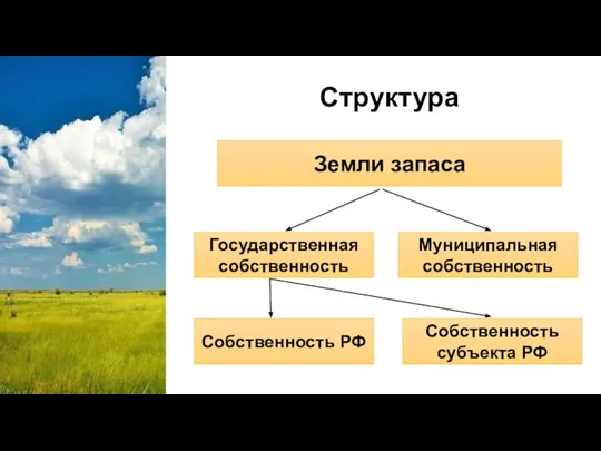 Структура Земли запаса Государственная собственность Муниципальная собственность Собственность РФ Собственность субъекта РФ