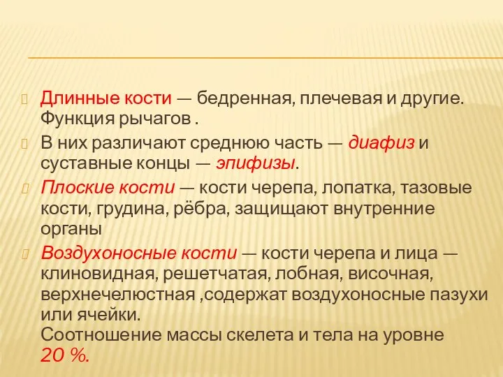 Длинные кости — бедренная, плечевая и другие. Функция рычагов . В них