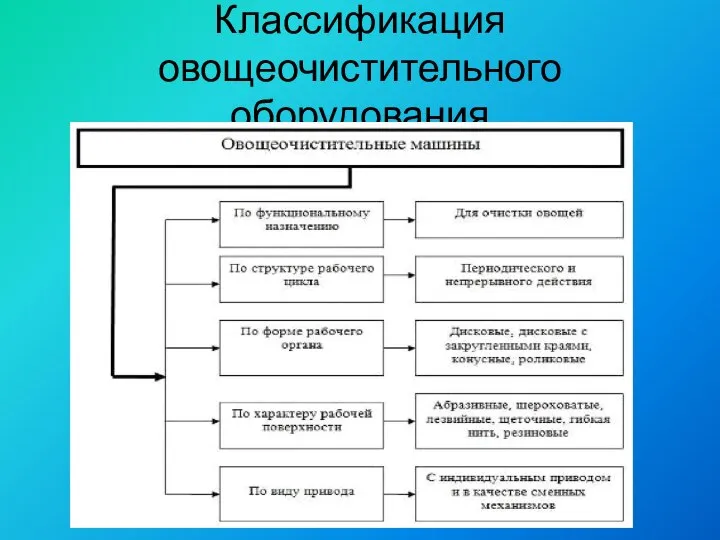 Классификация овощеочистительного оборудования