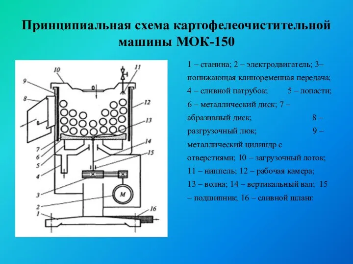 Принципиальная схема картофелеочистительной машины МОК-150 1 – станина; 2 – электродвигатель; 3–понижающая