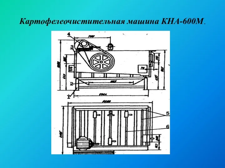 Картофелеочистительная машина КНА-600М.