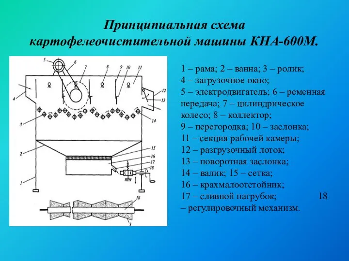 Принципиальная схема картофелеочистительной машины КНА-600М. 1 – рама; 2 – ванна; 3