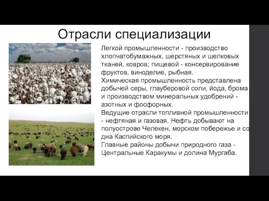 Отрасли специализации Легкой промышленности - производство хлопчатобумажных, шерстяных и шелковых тканей, ковров;