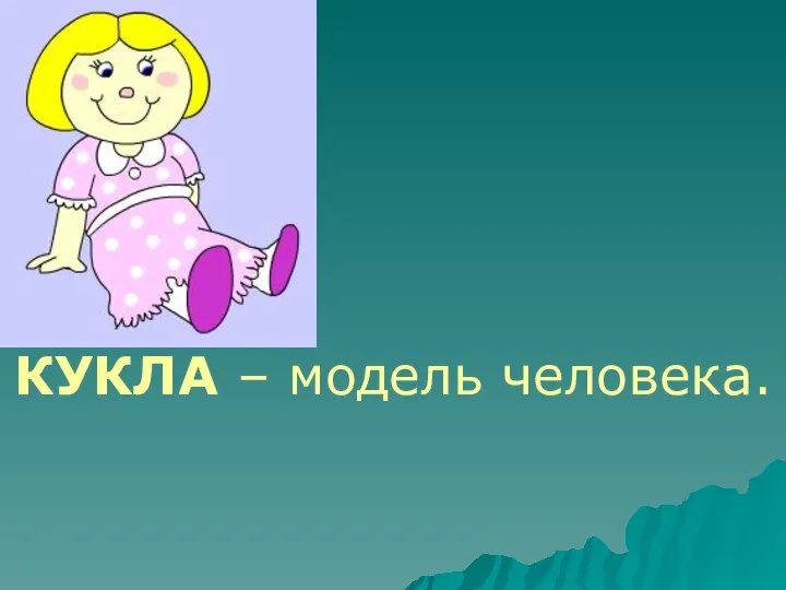 КУКЛА – модель человека.