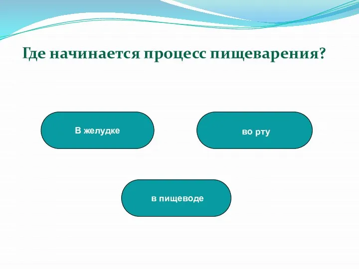 во рту В желудке в пищеводе Где начинается процесс пищеварения?