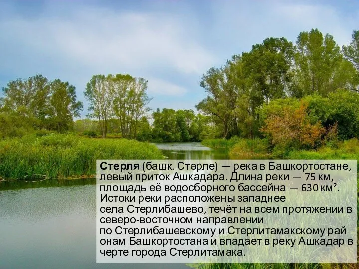 Стерля (башк. Стәрле) — река в Башкортостане, левый приток Ашкадара. Длина реки