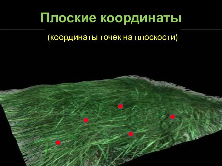 Плоские координаты (координаты точек на плоскости)