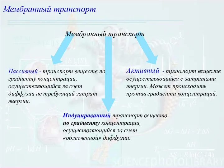 Мембранный транспорт Мембранный транспорт Пассивный - транспорт веществ по градиенту концентрации, осуществляющийся