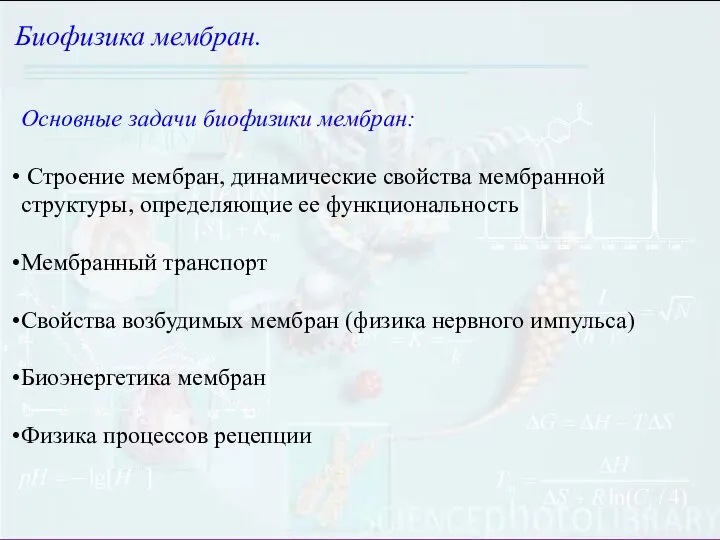 Биофизика мембран. Основные задачи биофизики мембран: Строение мембран, динамические свойства мембранной структуры,