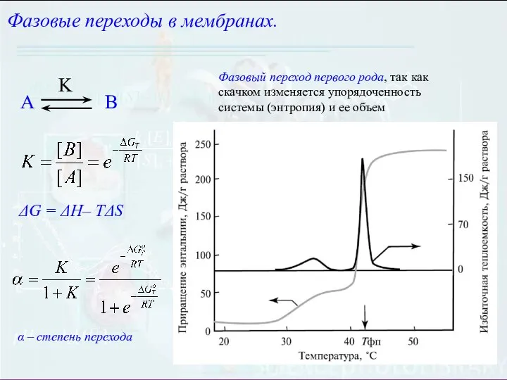 ΔG = ΔH– TΔS Фазовые переходы в мембранах. Фазовый переход первого рода,