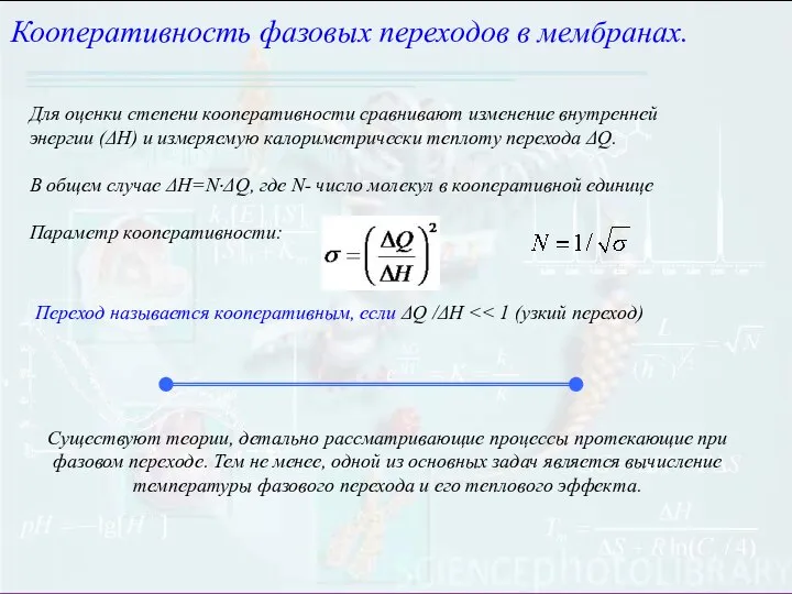 Кооперативность фазовых переходов в мембранах. Для оценки степени кооперативности сравнивают изменение внутренней