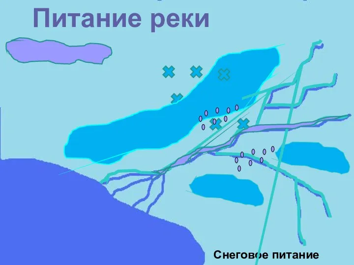 Питание реки Снеговое питание