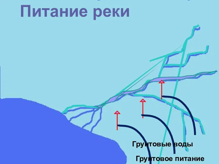 Питание реки Грунтовые воды Грунтовое питание