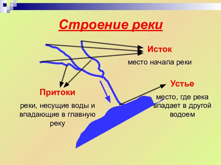 Строение реки Устье место, где река впадает в другой водоем Притоки реки,