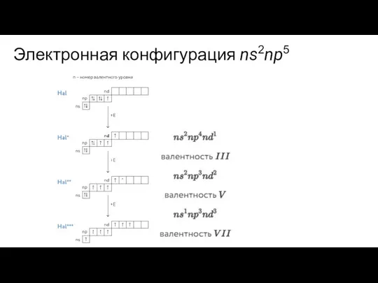 Электронная конфигурация ns2np5