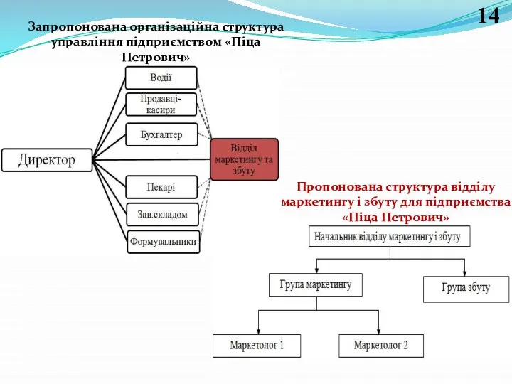 Пропонована структура відділу маркетингу і збуту для підприємства «Піца Петрович» Запропонована організаційна