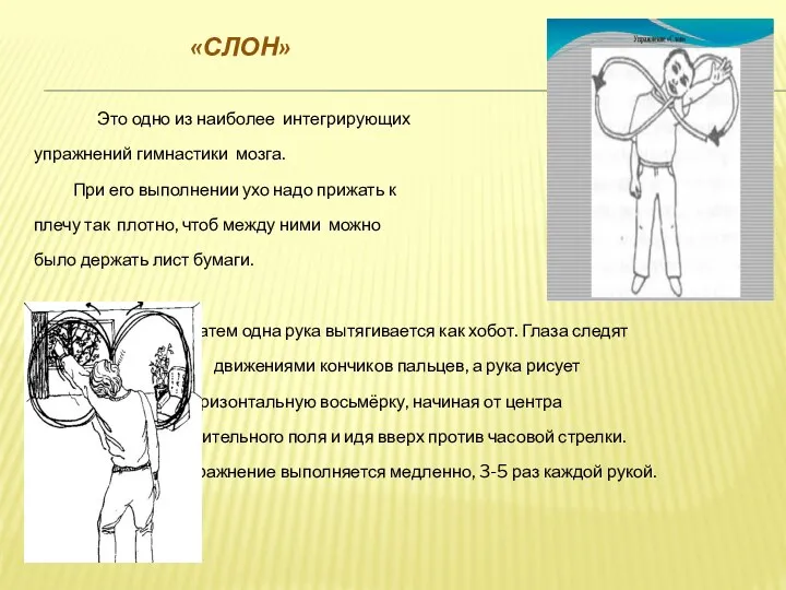 «СЛОН» Это одно из наиболее интегрирующих упражнений гимнастики мозга. При его выполнении